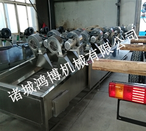 異形果蔬風(fēng)干機(jī)