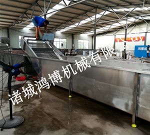 蔬菜清洗機(jī)