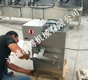 工業(yè)商業(yè)蘋果削皮設(shè)備